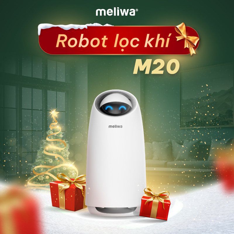 MELIWA M20
