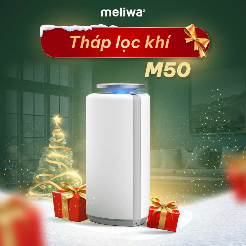 MELIWA M50